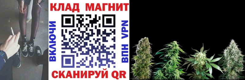 Где можно купить наркотики Аркадак Конопля Cocaine ГАШ Мефедрон