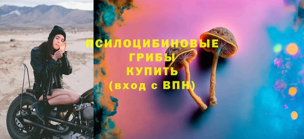 дживик Арсеньев