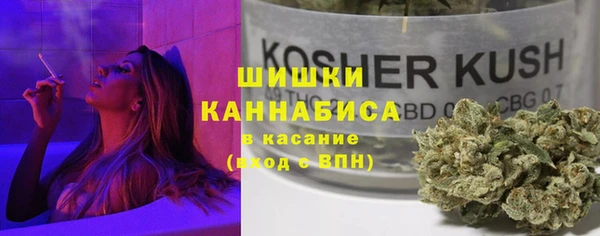 стаф Аркадак