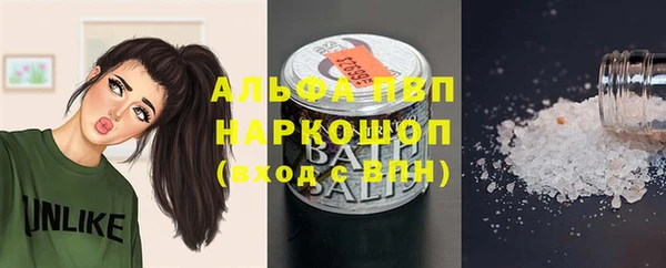 дживик Арсеньев