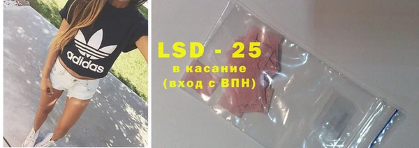 стаф Аркадак