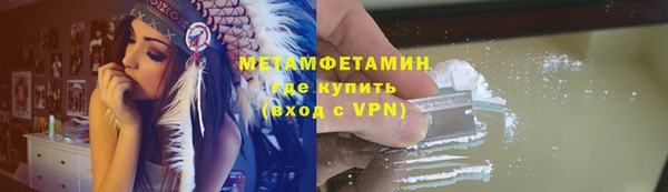 прущие грибы Осинники