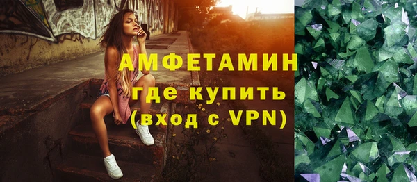 прущие грибы Осинники