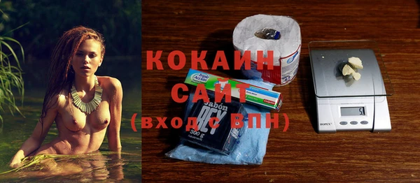 стаф Аркадак