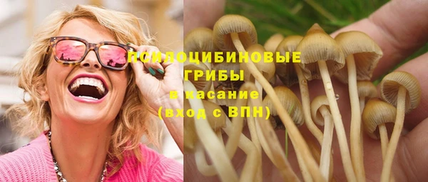 дживик Арсеньев