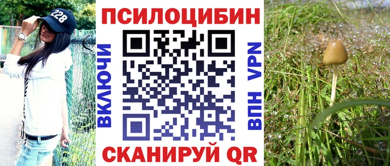 Галлюциногенные грибы ЛСД  Аркадак 